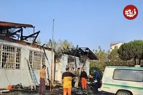 مرگ زیر «درخت آرامش»؛ پایان تلخ یک کمپ ترک اعتیاد