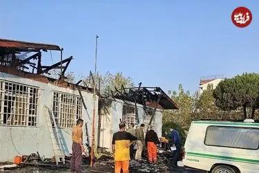 مرگ زیر «درخت آرامش»؛ پایان تلخ یک کمپ ترک اعتیاد