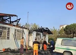 مرگ زیر «درخت آرامش»؛ پایان تلخ یک کمپ ترک اعتیاد