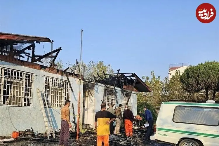 مرگ زیر «درخت آرامش»؛ پایان تلخ یک کمپ ترک اعتیاد