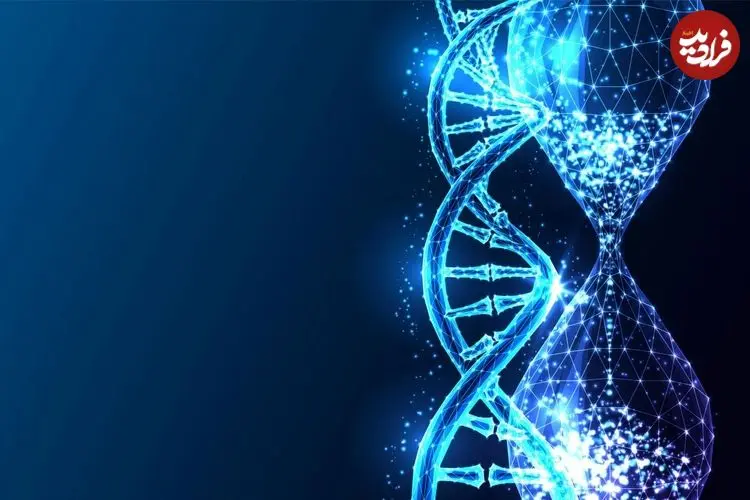 ژن‌ها عامل پیری و جوانی شدند