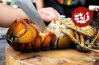 ببینید| غذای خیابانی در تایلند؛ پخت لابستر با سس تخم مرغ و پنیر در بانکوک