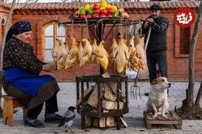 ببینید| غذای روستایی در آذربایجان؛ تهیه خورشت سنتی و کنسرو با اردک