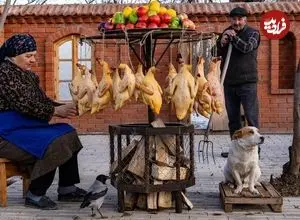 ببینید| غذای روستایی در آذربایجان؛ تهیه خورشت سنتی و کنسرو با اردک