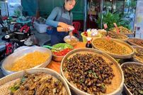 ببینید؛ غذای خیابانی در کامبوج؛ جیرجیرک و ملخ سرخ شده با سبزیجات در سیم ریپ
