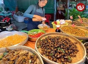 ببینید؛ غذای خیابانی در کامبوج؛ جیرجیرک و ملخ سرخ شده با سبزیجات در سیم ریپ