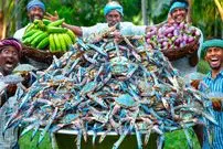 ببینید| غذای روستایی در هند؛ پخت خوراک با خرچنگ، بادمجان و موز کال در طبیعت