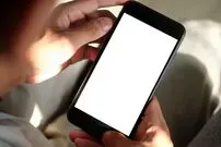 سخنگوی دولت درباره لایحه «مقابله با انتشار محتوای خلاف واقع در فضای مجازی»: کسانی که نقد دارند، لایحه را کامل بخوانند