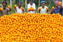 ببینید؛ غذای روستایی در هند؛ تهیه آب پرتقال و دسر با 250 کیلو پرتقال