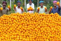 ببینید؛ غذای روستایی در هند؛ تهیه آب پرتقال و دسر با 250 کیلو پرتقال