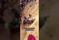 (ویدئو) لحظه بیرون کشیدن معجزه آسای معدنچیان از معدن طلای فروریخته کنگو