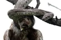 ببینید| مار پیتون یک سارگپه را اعدام کرد!