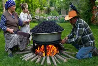(ویدئو) فرآیند دیدنی برداشت و تهیه شربت و مربا از توت سیاه در آذربایجان 