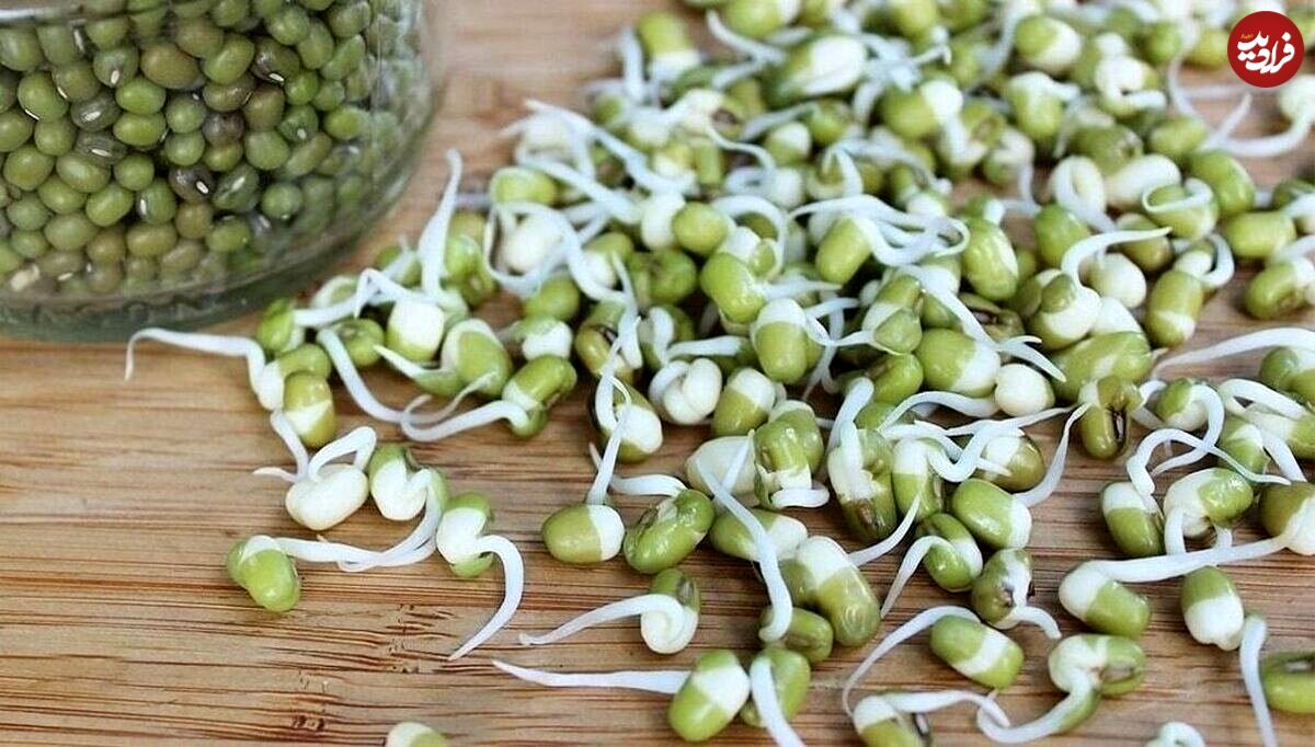 بمب ویتامین و پروتئین را بشناسید