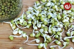 بمب ویتامین و پروتئین را بشناسید