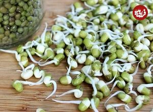 بمب ویتامین و پروتئین را بشناسید