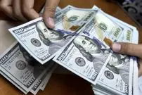 اینفوگرافی| نام چند شرکت در لیست بیشترین دریافت‌کننده ارز ترجیحی