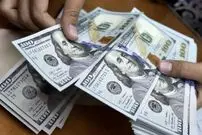اینفوگرافی| نام چند شرکت در لیست بیشترین دریافت‌کننده ارز ترجیحی