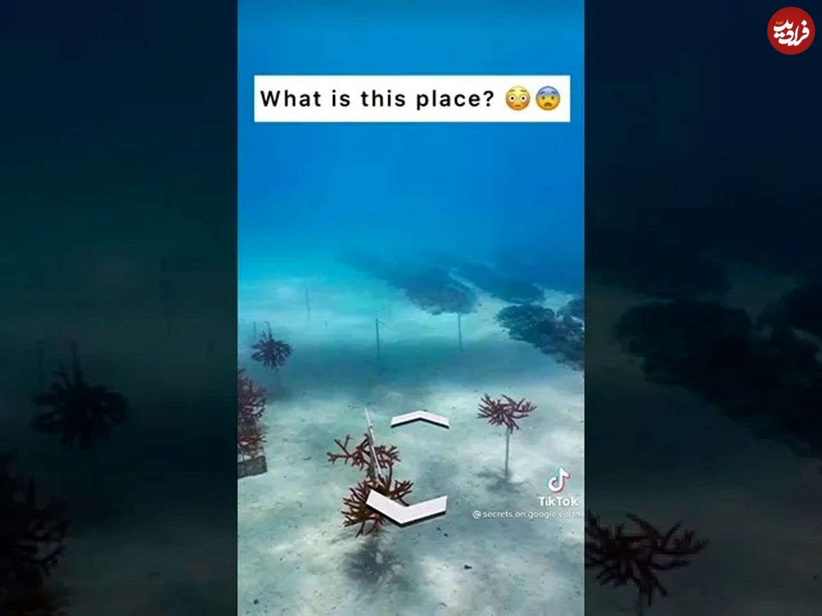 (ویدئو) مکان عجیب و غریبی که گوگل ارث در زیر دریا کشف کرد!
