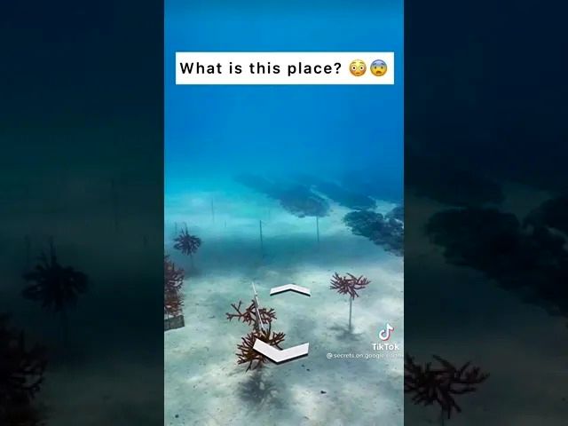 (ویدئو) مکان عجیب و غریبی که گوگل ارث در زیر دریا کشف کرد!