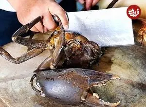 ببینید| غذای خیابانی در ویتنام؛ پخت غذا با خرچنگ گِلی در بانکوک