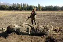 (عکس) کشف مجسمه تاریخی در مزرعه سیب‌ زمینی؛ زندگی این کشاورز زیر و رو شد!