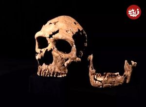 (عکس) محققان چهره یک زن نئاندرتال زاگرسی ۷۵ هزار ساله را بازسازی کردند