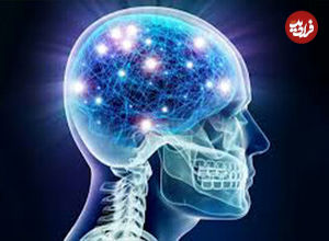 کندر، هوش و حافظه را زیاد می‌کند؟