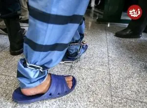 توطئه شوهر برای قتل همسرش در محیط کار؛ فاش شدن راز قتل با کپسول سمی بعد از خیانت