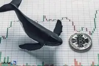 این افراد بیشترین تعداد بیت کوین را دارند!