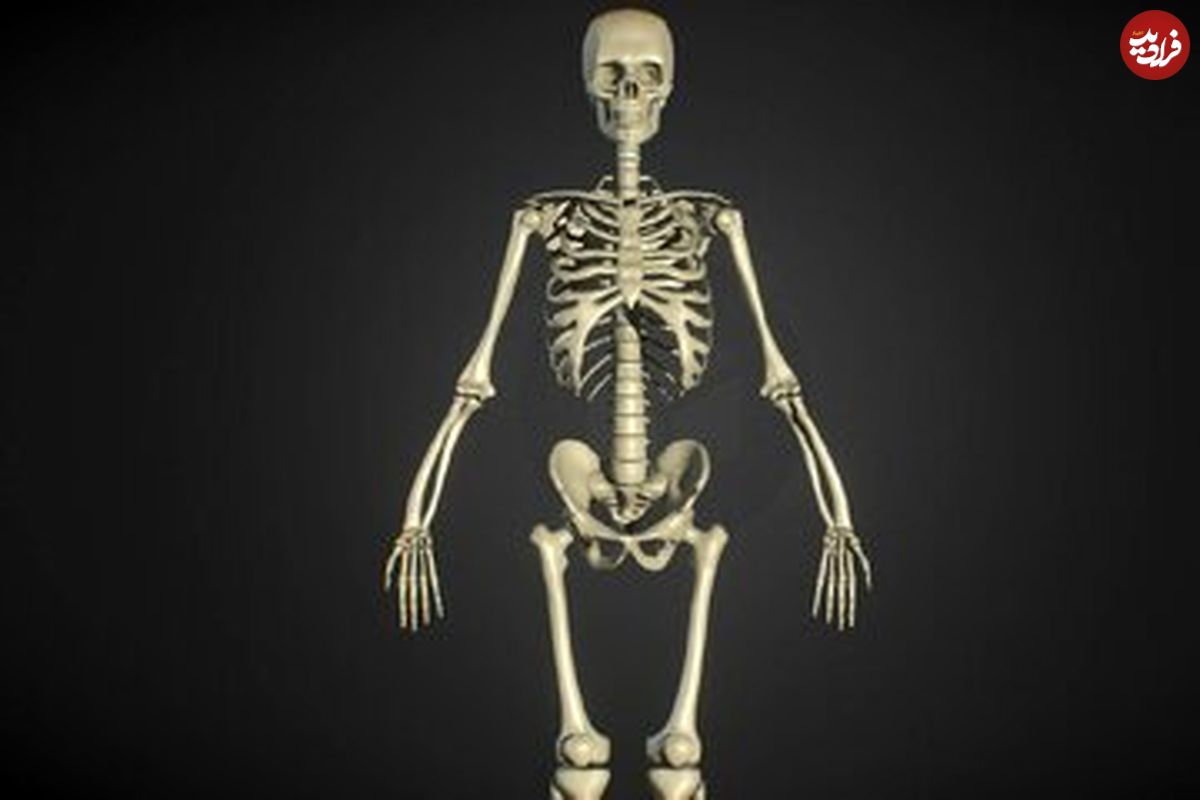 ۵ نشانه از اجداد باستانی انسان که هنوز در بدنمان یافت می‌شوند