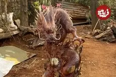 ببینید| مراحل خلق مجسمه اژدها با تنه درخت و به روش هنرمند چینی