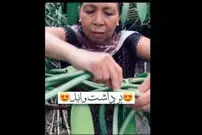 (ویدئو) فرایند جالب برداشت وانیل از مزرعه