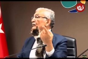 (ویدئو) یک گربه از سر و کول آقای شهردار بالا رفت!