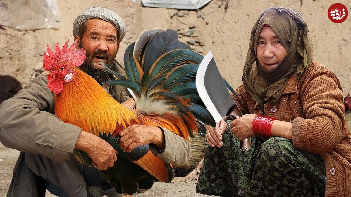 ببینید؛ غذای روستایی در افغانستان؛ پخت یک غذای سنتی با برنج و گوشت خروس