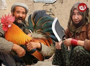 ببینید؛ غذای روستایی در افغانستان؛ پخت یک غذای سنتی با برنج و گوشت خروس