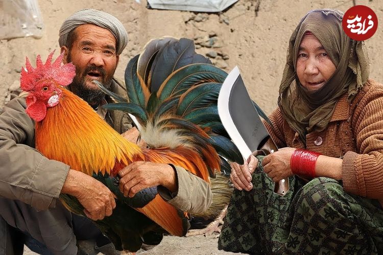 ببینید؛ غذای روستایی در افغانستان؛ پخت یک غذای سنتی با برنج و گوشت خروس