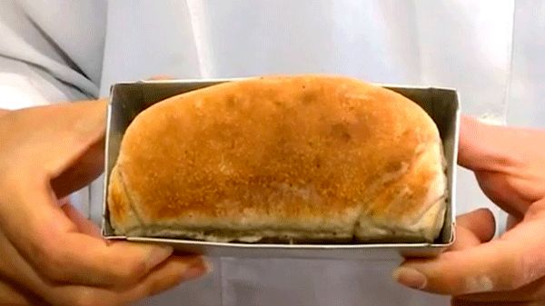 (عکس) این نان از آرد سوسک درست شده است