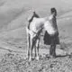 عکس| سفر زمان؛ منظرۀ «اصطبل و اردوی ناصرالدین شاه» در علی‌آباد قم