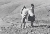 عکس| سفر زمان؛ منظرۀ «اصطبل و اردوی ناصرالدین شاه» در علی‌آباد قم
