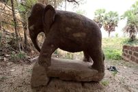 (تصاویر) کشف مجسمه یک فیل در هند مربوط به زمان حمله اسکندر و سقوط هخامنشیان