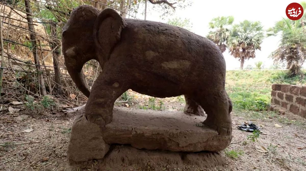 (تصاویر) کشف مجسمه یک فیل در هند مربوط به زمان حمله اسکندر و سقوط هخامنشیان