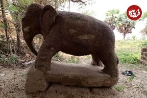 (تصاویر) کشف مجسمه یک فیل در هند مربوط به زمان حمله اسکندر و سقوط هخامنشیان