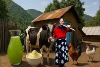 ببینید؛ غذای روستایی در ایران؛ تهیه شربت آلو و کره خانگی