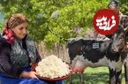ببینید؛ غذای روستایی در آذربایجان؛ تهیه پنیر اصیل سنتی با شیر تازه گاو 