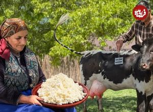 ببینید؛ غذای روستایی در آذربایجان؛ تهیه پنیر اصیل سنتی با شیر تازه گاو 
