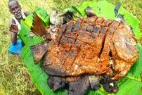 ببینید| غذای روستایی در هند؛ کباب کردن ماهی پامفرت سیاه در برگ موز