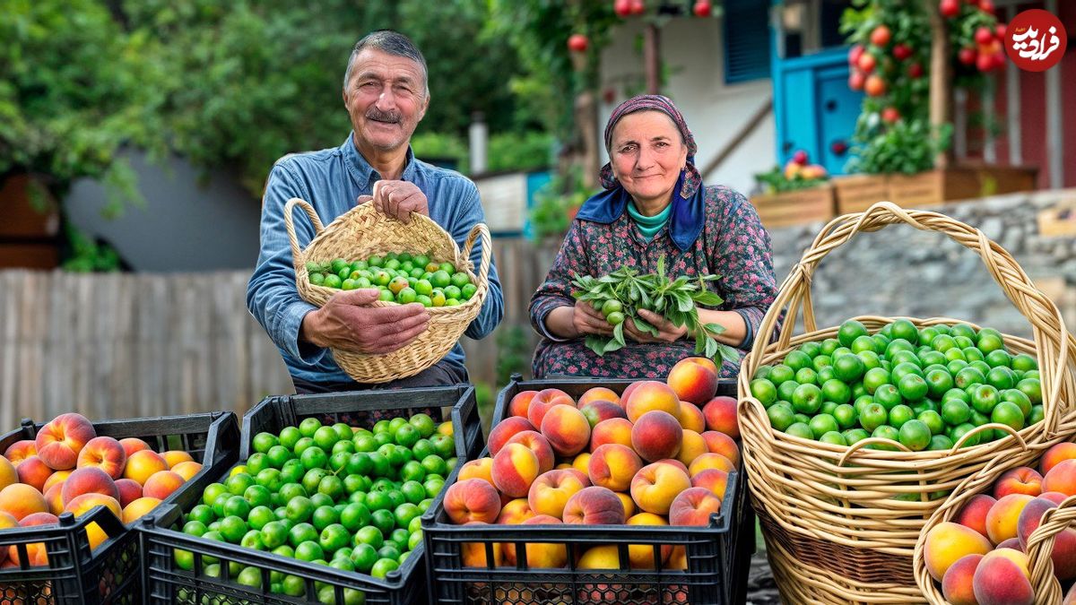 ببینید؛ غذای روستایی در آذربایجان؛ برداشت هلو و گوجه سبز و تهیه مربا و ترشی با آنها در روستا