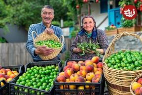 ببینید؛ غذای روستایی در آذربایجان؛ برداشت هلو و گوجه سبز و تهیه مربا و ترشی با آنها در روستا