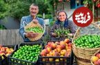 ببینید؛ غذای روستایی در آذربایجان؛ برداشت هلو و گوجه سبز و تهیه مربا و ترشی با آنها در روستا